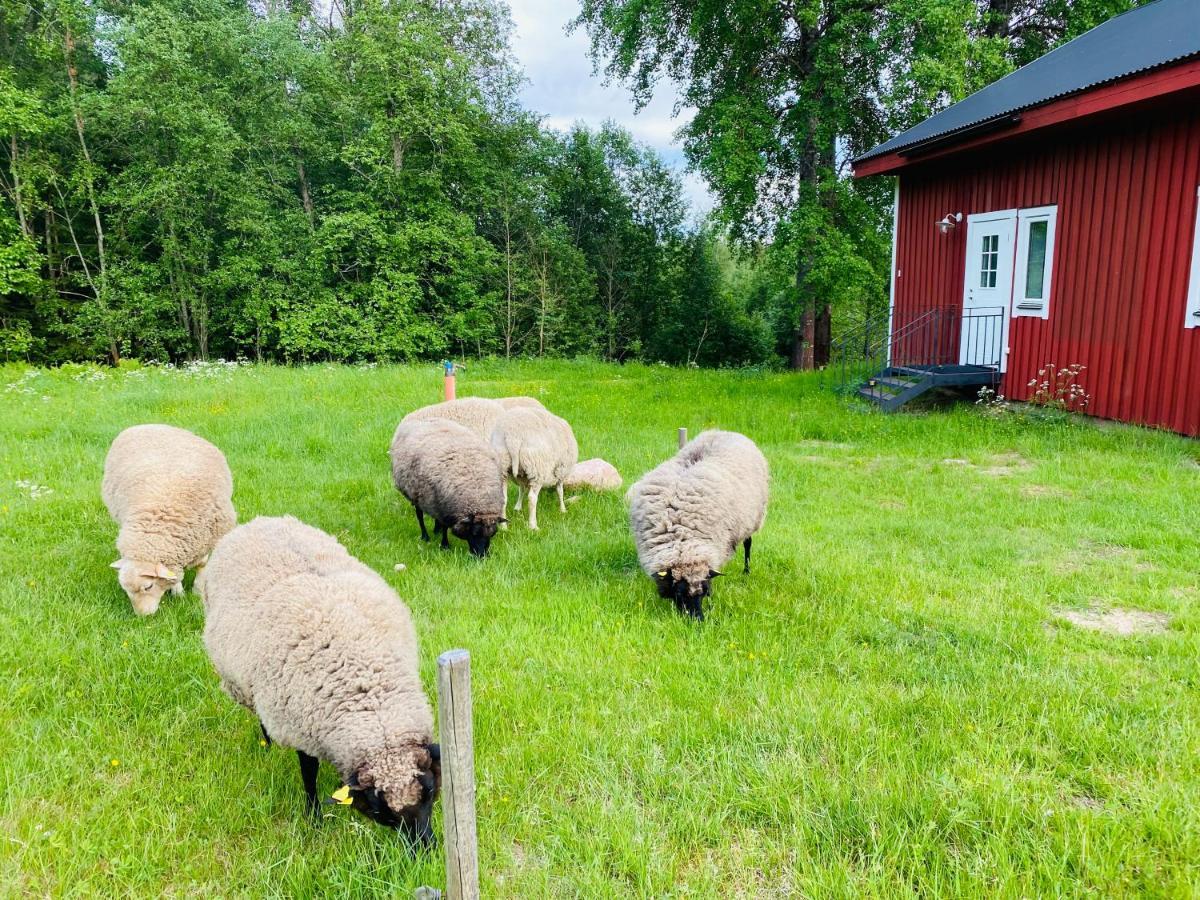 Adventure Guesthouse Sweden In Rural Area Сунне Экстерьер фото