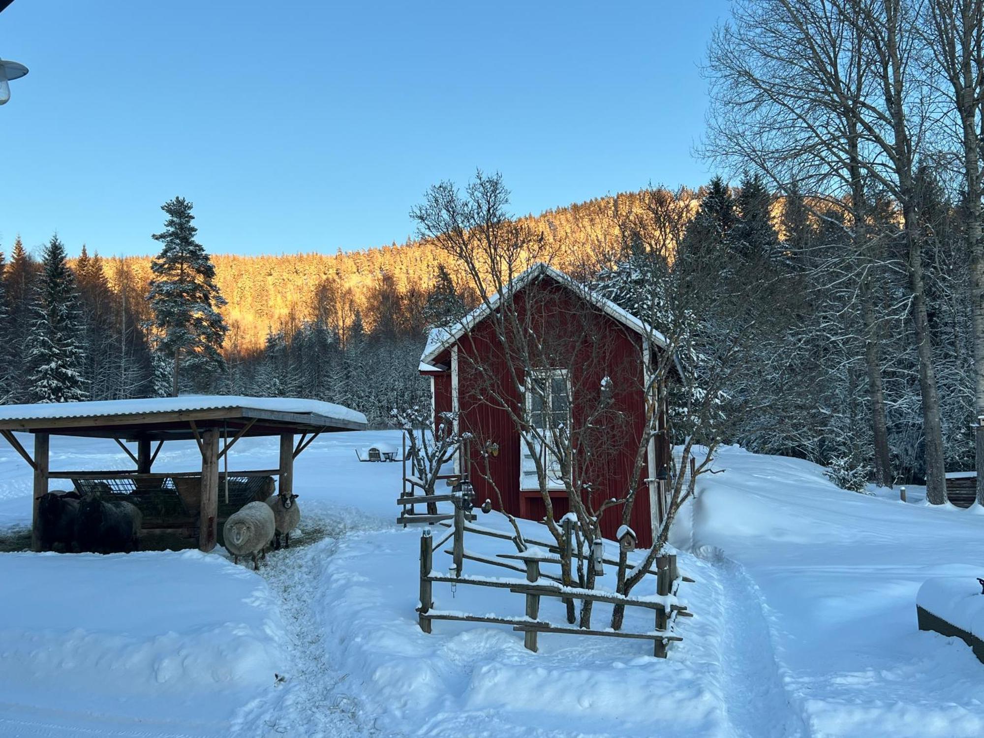 Adventure Guesthouse Sweden In Rural Area Сунне Экстерьер фото